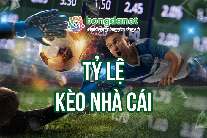 Sex Anh Da Đen Khám Phá Sự Hấp Dẫn Và Bí Quyết Thành Công