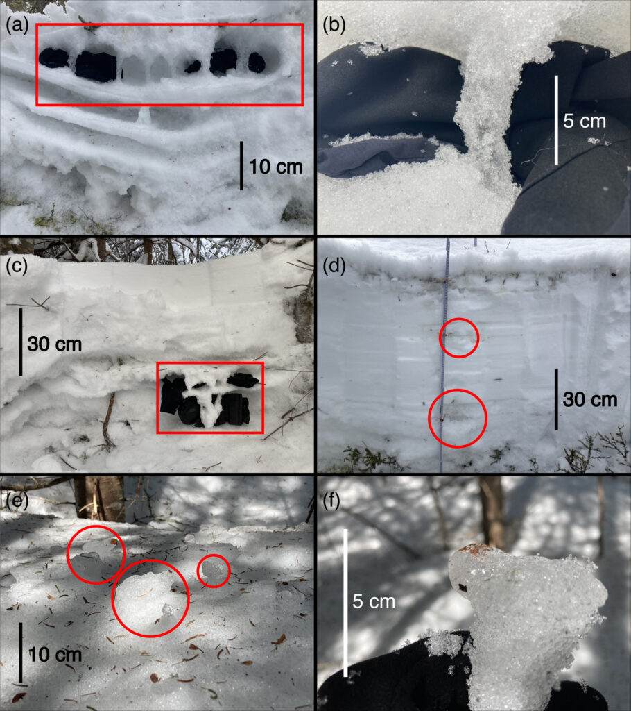 Khám Phá Chich Em Gai – Cổng Game Đỉnh Cao Và An Toàn